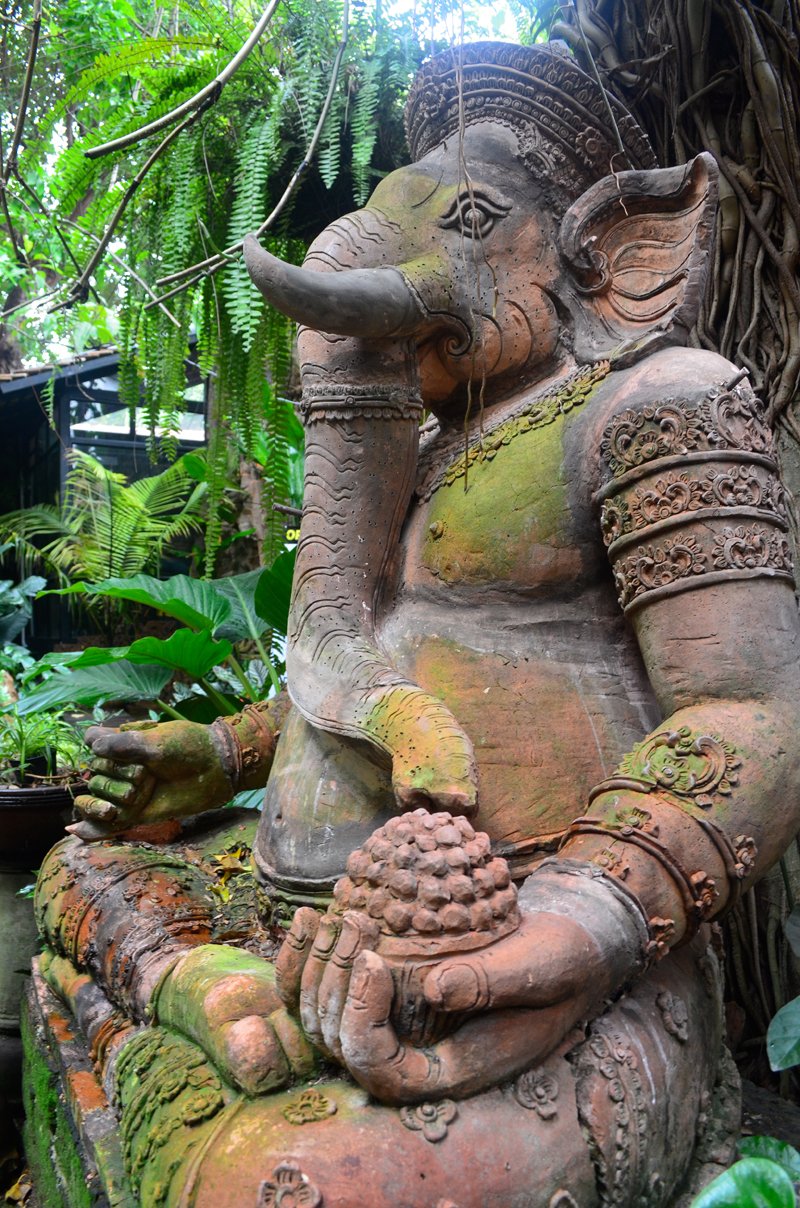 Cynthia's Thai Massage journey in Thailand