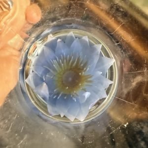 Lotus tea